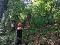 IMG_20250620_091817